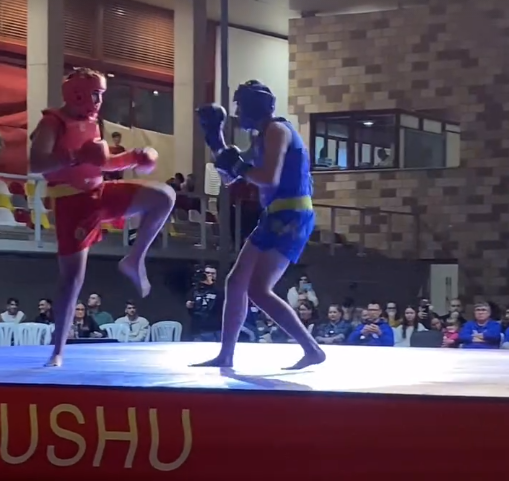 Competición de Wushu San Da